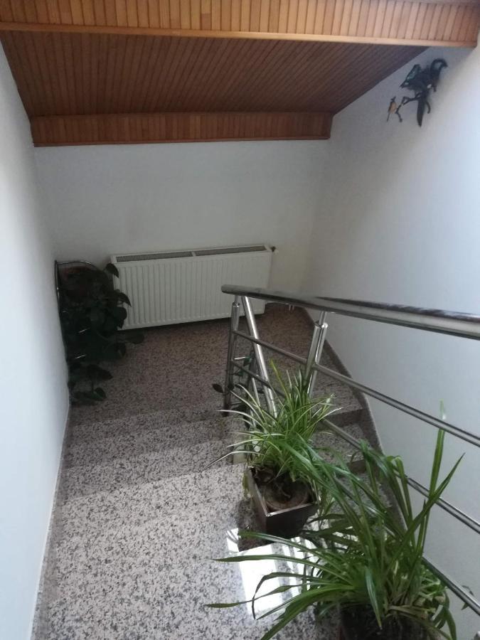 Apartamento Drago Kremenjas Delnice Exterior foto