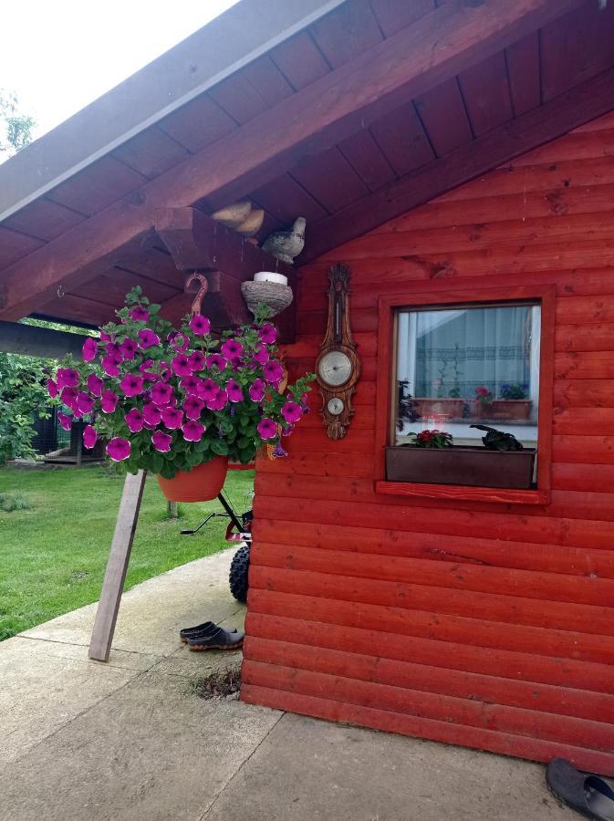 Apartamento Drago Kremenjas Delnice Exterior foto