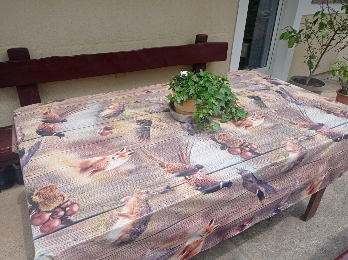Apartamento Drago Kremenjas Delnice Exterior foto