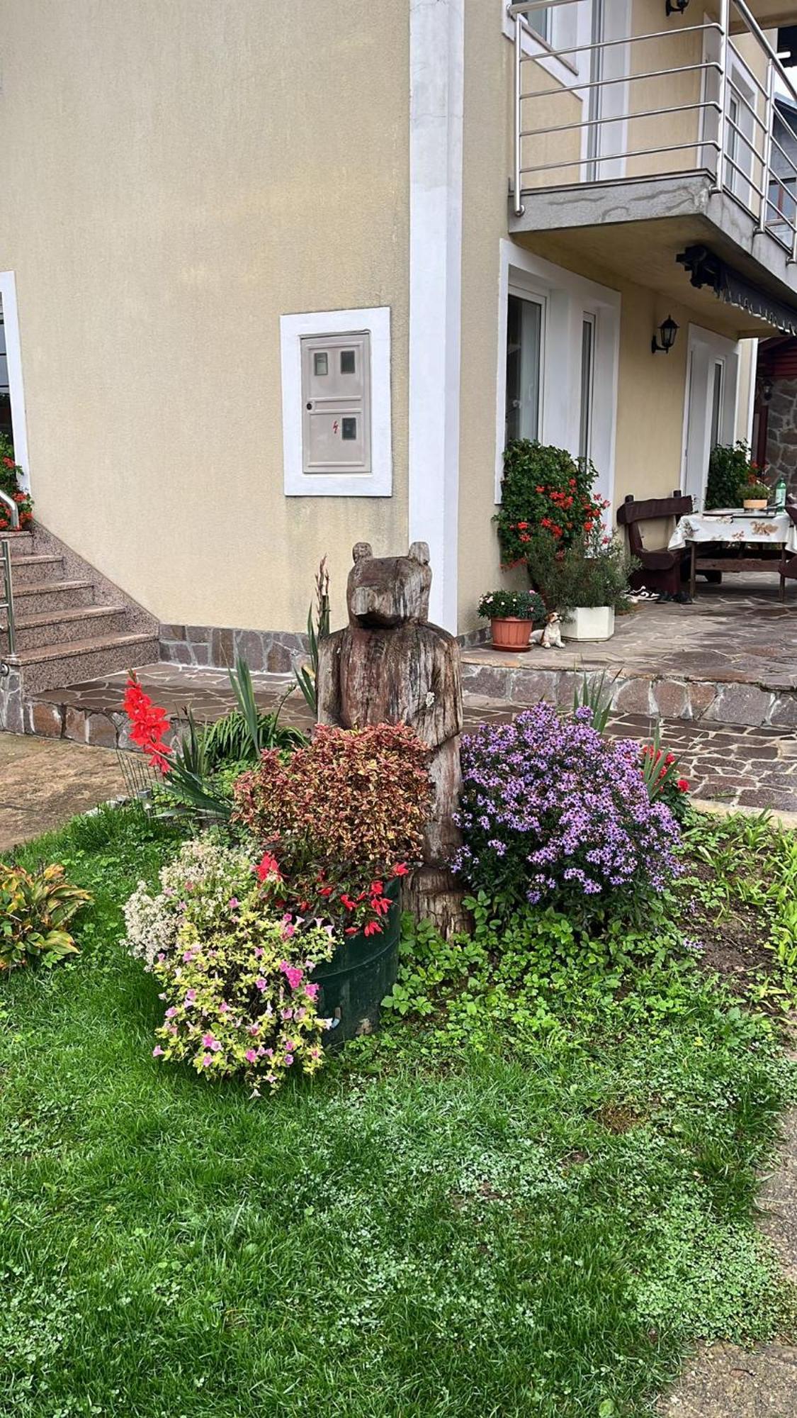 Apartamento Drago Kremenjas Delnice Exterior foto